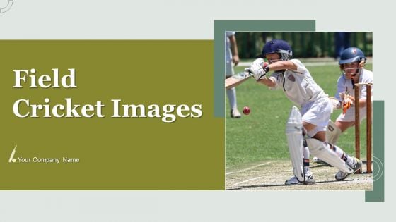 Field Cricket Images Ppt PowerPoint Presentation Complete With Slides