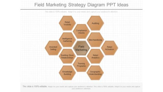 Field Marketing Strategy Diagram Ppt Ideas