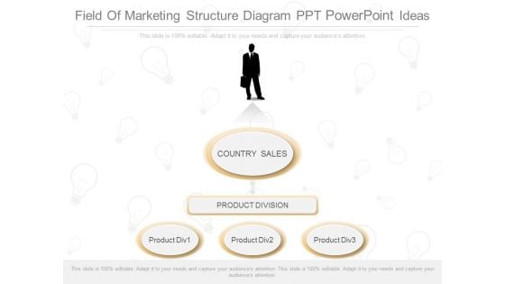 Field Of Marketing Structure Diagram Ppt Powerpoint Ideas