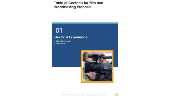 Film And Broadcasting Proposal Table Of Contents One Pager Sample Example Document