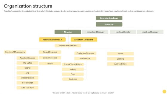 Film Making Firm Profile Organization Structure Ppt PowerPoint Presentation Gallery Background PDF