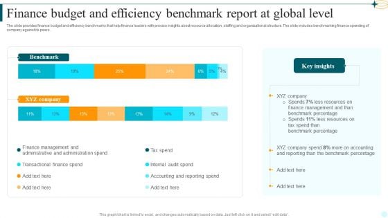 Finance Budget And Efficiency Benchmark Report At Global Level Template PDF