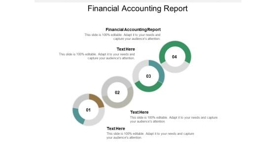 Financial Accounting Report Ppt PowerPoint Presentation Layouts Outfit Cpb