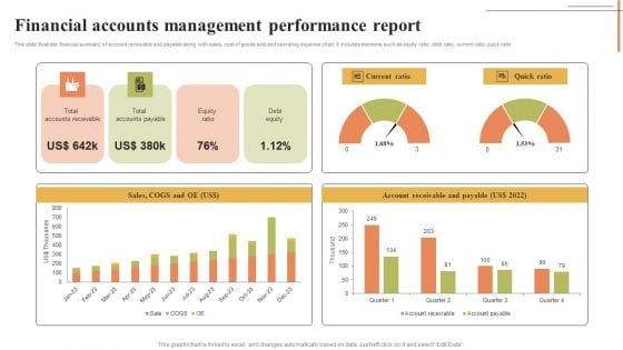 Financial Accounts Management Performance Report Mockup PDF