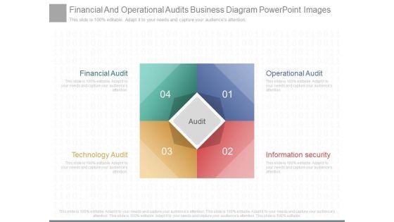 Financial And Operational Audits Business Diagram Powerpoint Images