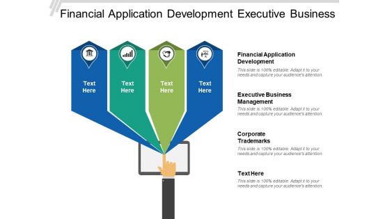 Financial Application Development Executive Business Management Corporate Trademarks Ppt PowerPoint Presentation Portfolio Graphics