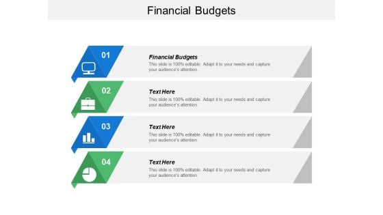 Financial Budgets Ppt PowerPoint Presentation Styles Example File Cpb