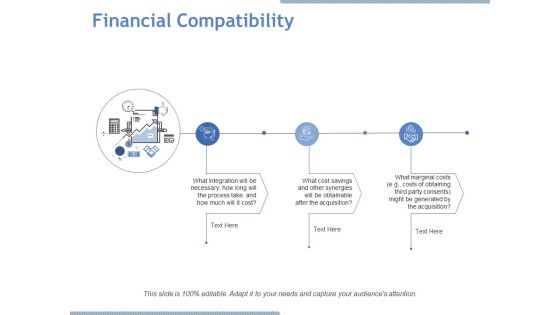 Financial Compatibility Ppt PowerPoint Presentation Icon Visual Aids