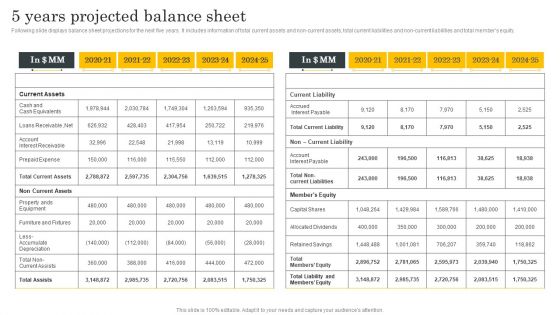 Financial Evaluation Report 5 Years Projected Balance Sheet Background PDF