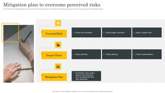 Financial Evaluation Report Mitigation Plan To Overcome Perceived Risks Microsoft PDF