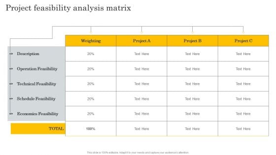 Financial Evaluation Report Project Feasibility Analysis Matrix Demonstration PDF