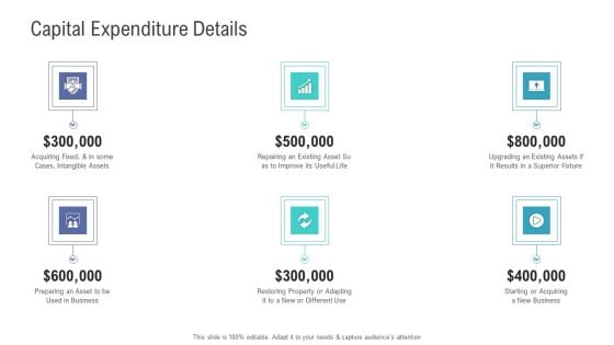 Financial Functional Assessment Capital Expenditure Details Ppt Summary Slides PDF