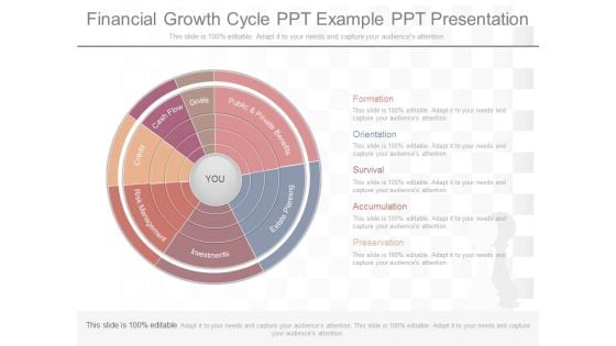 Financial Growth Cycle Ppt Example Ppt Presentation