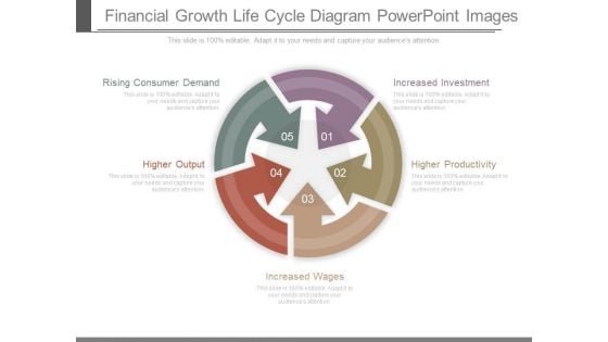 Financial Growth Life Cycle Diagram Powerpoint Images