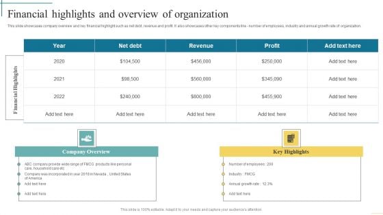 Financial Highlights And Overview Of Organization Developing Fundraising Techniques Inspiration PDF