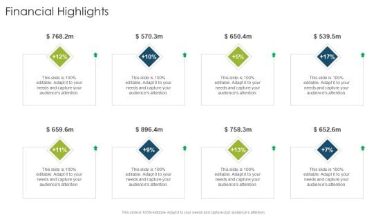 Financial Highlights Organizational Strategies And Promotion Techniques Sample PDF