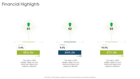 Financial Highlights Slide Organizational Strategies And Promotion Techniques Template PDF