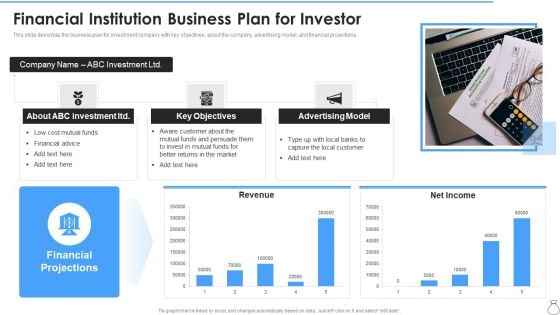 Financial Institution Business Plan For Investor Sample PDF