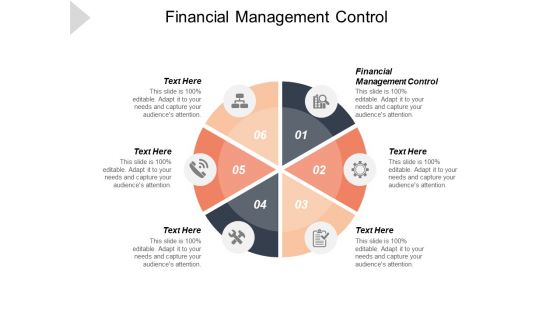 Financial Management Control Ppt PowerPoint Presentation Show Slide Portrait Cpb