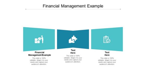 Financial Management Example Ppt PowerPoint Presentation Gallery Skills Cpb