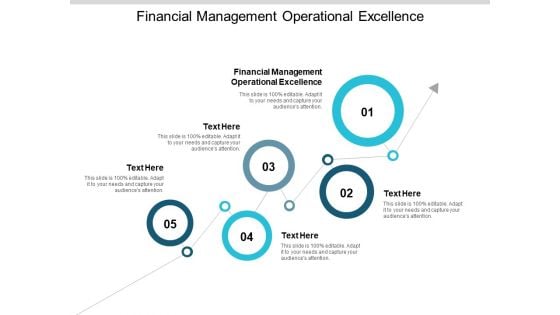 Financial Management Operational Excellence Ppt PowerPoint Presentation Inspiration Example Cpb