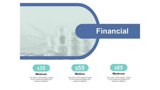 Financial Minimum Ppt PowerPoint Presentation Gallery Example