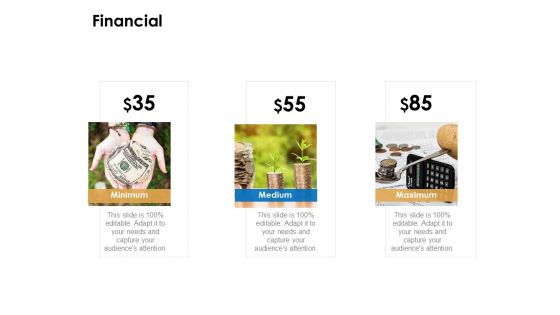 Financial Minimum Ppt PowerPoint Presentation Styles Inspiration