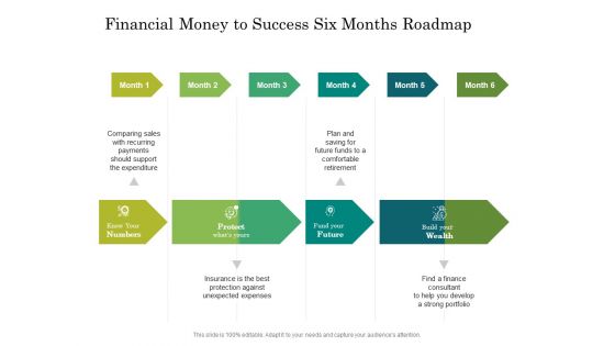 Financial Money To Success Six Months Roadmap Infographics