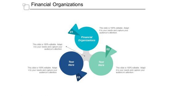 Financial Organizations Ppt PowerPoint Presentation Show Mockup Cpb