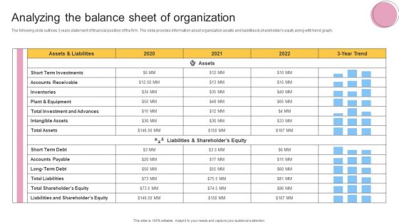 Financial Planning And Examination Plan For Small And Large Enterprises Analyzing The Balance Sheet Of Organization Formats PDF