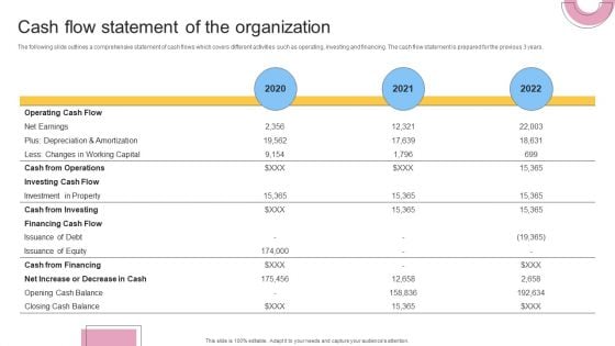 Financial Planning And Examination Plan For Small And Large Enterprises Cash Flow Statement Of The Organization Topics PDF