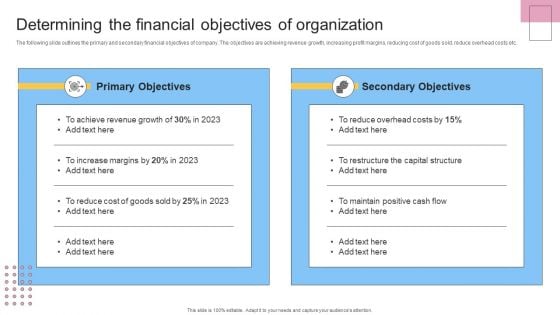 Financial Planning And Examination Plan For Small And Large Enterprises Determining The Financial Objectives Of Organization Inspiration PDF
