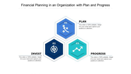 Financial Planning In An Organization With Plan And Progress Ppt PowerPoint Presentation Icon Ideas PDF