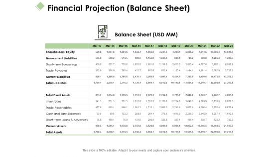 Financial Projection Balance Sheet Ppt PowerPoint Presentation Pictures Influencers