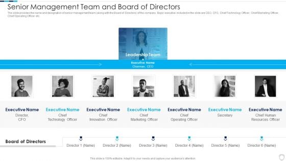 Financial Report Of An IT Firm Senior Management Team And Board Of Directors Structure PDF