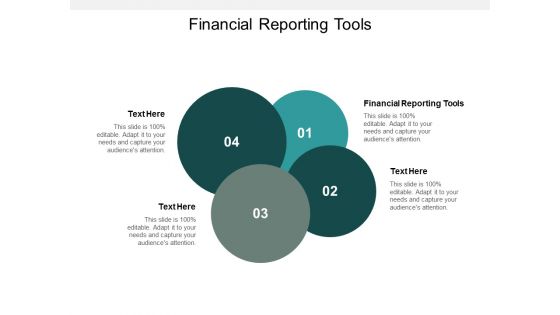 Financial Reporting Tools Ppt Powerpoint Presentation Inspiration Show Cpb
