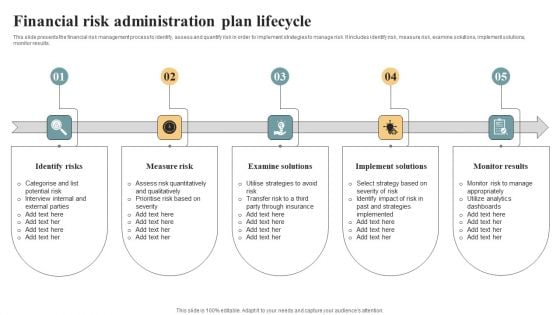 Financial Risk Administration Plan Lifecycle Background PDF