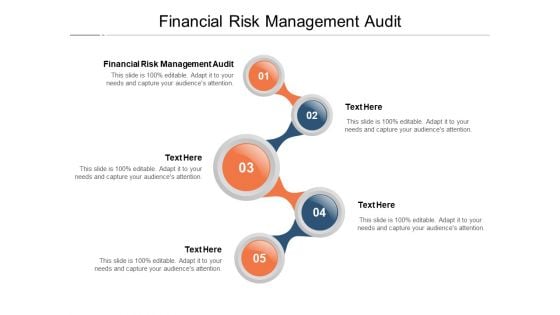 Financial Risk Management Audit Ppt PowerPoint Presentation Inspiration Templates Cpb Pdf