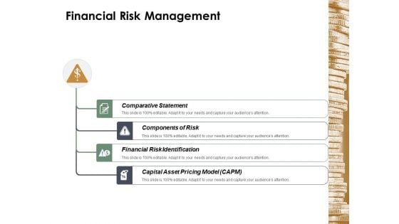 Financial Risk Management Ppt Powerpoint Presentation Gallery File Formats