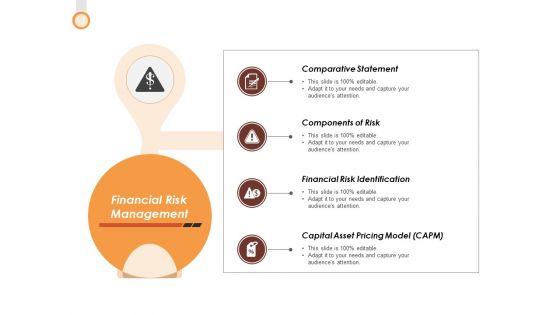 Financial Risk Management Ppt PowerPoint Presentation Gallery Format