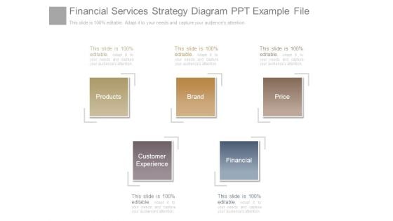 Financial Services Strategy Diagram Ppt Example File