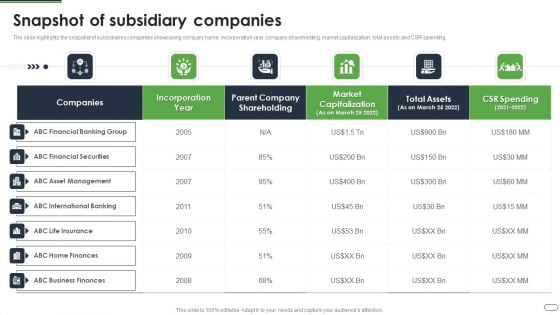 Financial Solutions Company Profile Snapshot Of Subsidiary Companies Graphics PDF