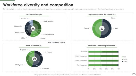 Financial Solutions Company Profile Workforce Diversity And Composition Brochure PDF Financial Solutions Company Profile Workforce Diversity And Composition Brochure PDF