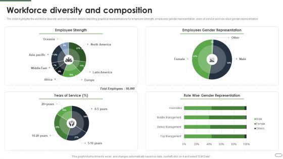 Financial Solutions Company Profile Workforce Diversity And Composition Brochure PDF