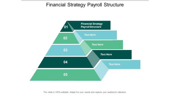 Financial Strategy Payroll Structure Ppt PowerPoint Presentation Show Format Cpb