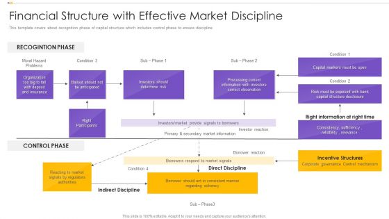 Financial Structure With Effective Market Discipline Template PDF