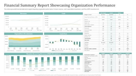 Financial Summary Report Showcasing Organization Performance Ppt Show Skills PDF