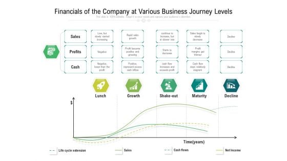 Financials Of The Company At Various Business Journey Levels Ppt PowerPoint Presentation File Portrait PDF