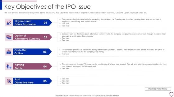 Financing Catalogue For Security Underwriting Agreement Key Objectives Of The IPO Issue Mockup PDF