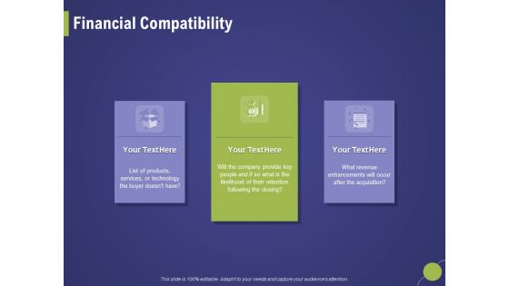 Firm Capability Assessment Financial Compatibility Ppt Infographic Template Introduction PDF